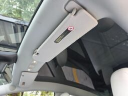 
										2022 Tesla Model Y Performance full									