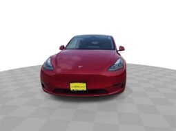 
										2023 Tesla Model Y null full									