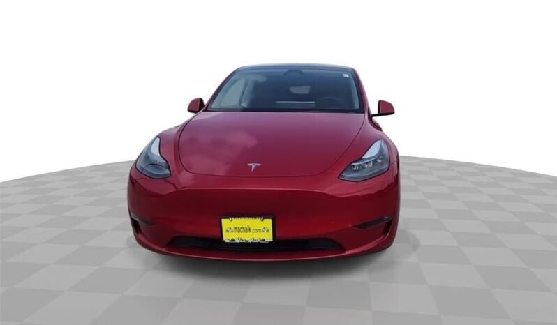 
								2023 Tesla Model Y null full									