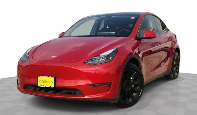 
								2023 Tesla Model Y null full									