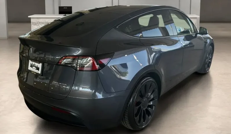 
								2023 Tesla Model Y Performance full									
