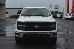 
										2024 Ford F-150 XLT full									