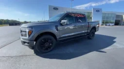 
										2025 Ford F-150 Lariat full									
