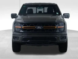 
										2026 Ford F-150 Tremor full									