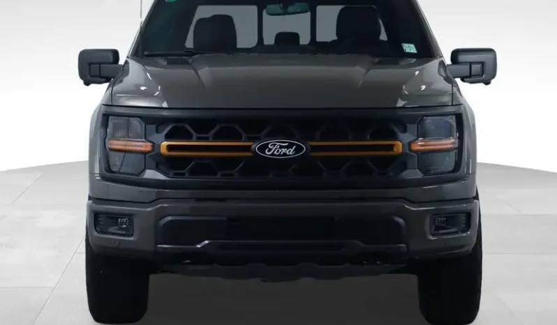 
								2026 Ford F-150 Tremor full									