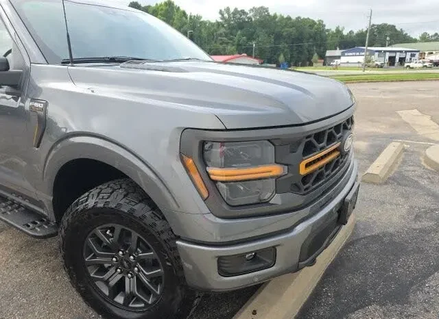 
								2026 Ford F-150 Tremor full									